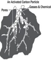 Carbon Structure